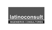 latino-consult